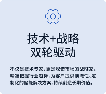 技术+战略双轮驱动