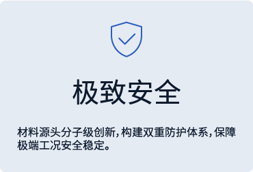 极致安全